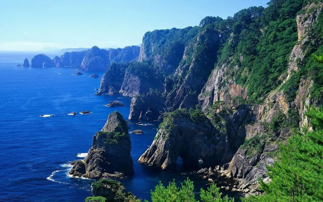 节能节能全自动